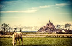 یک نمونه از مطلب استاندارد