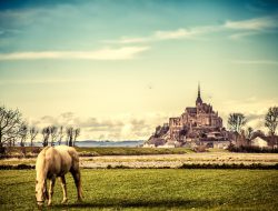 یک نمونه از مطلب استاندارد