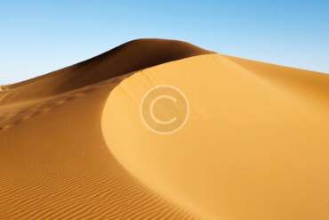 لوگوهای خطوط هوایی: 20 بهترین و بدترین نمونه